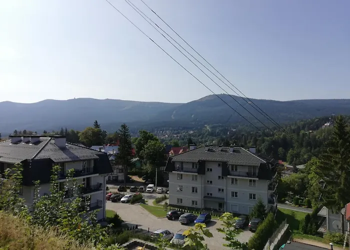 Mountain View 아파트 *