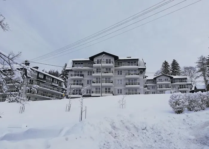 Mountain View 아파트 *